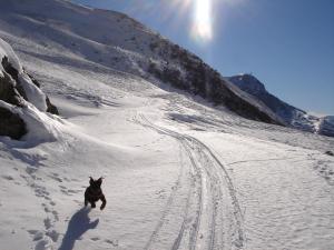 Chalets Chalet LEPERVIERE : photos des chambres
