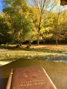 Dipla Sto Potami (Next To The River) Epirus Greece