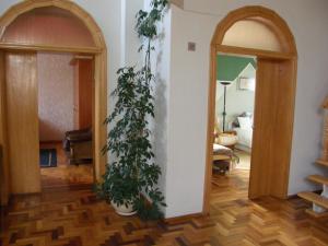 Home for Guests Lakštingala