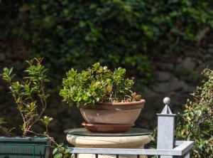 Camere Fontanavecchia