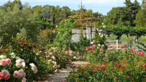 B&B / Chambres d'hotes Mas des Figues #PhilippeArtist #certifiebio #certifiedorganic #potagerbio #huiledolivebio #mediterraneandietbrunch #homemadecooking #biodiversity #roseraie #ecologicalgarden #agritourism #ecotourism #farmstay #guesthouse #saintremydeprovence #Alpilles : photos des chambres