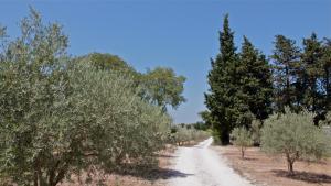 B&B / Chambres d'hotes Mas des Figues #PhilippeArtist #certifiebio #certifiedorganic #potagerbio #huiledolivebio #mediterraneandietbrunch #homemadecooking #biodiversity #roseraie #ecologicalgarden #agritourism #ecotourism #farmstay #guesthouse #saintremydeprovence #Alpilles : photos des chambres