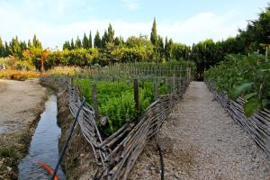 B&B / Chambres d'hotes MAS DES FIGUES - Mas XVIIIe tres calme - Certifie Biologique FRBio10 - jardin naturel ecologique - piscine 12x6 - Copieux brunch paysan mediterraneen cuisine du jardin huile d'olive - Agritourisme Alpilles Saint Remy de Provence du 01 mai au 30 septembre : photos des chambres