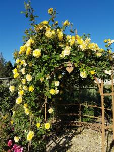 B&B / Chambres d'hotes Mas des Figues #PhilippeArtist #certifiebio #certifiedorganic #potagerbio #huiledolivebio #mediterraneandietbrunch #homemadecooking #biodiversity #roseraie #ecologicalgarden #agritourism #ecotourism #farmstay #guesthouse #saintremydeprovence #Alpilles : photos des chambres