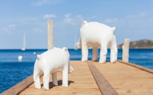 Hotels U Capu Biancu : photos des chambres