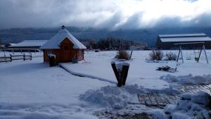 Maisons d'hotes La Fee Verte : photos des chambres