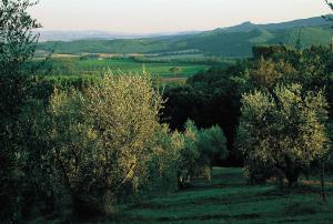 Tenuta Casabianca