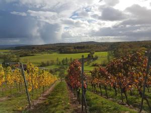 Zasebna nastanitev G&auml;stezimmer in Aspach Aspach Nemčija