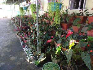 Cauvery Suites