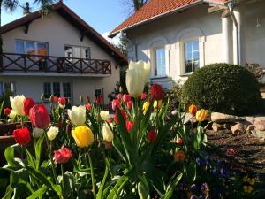 Quadruple Room with Private External Bathroom room in agroturystyka Orzechowe Wzgórze