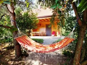 Sumówko Leśne Siedlisko - Osetno