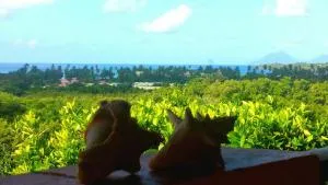 Studios Carribean Sea View - Bernard