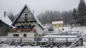 Cabană Holiday Home Savic Kopaonik Serbia