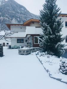 Appartement Elisabeth inklusive Summer Card