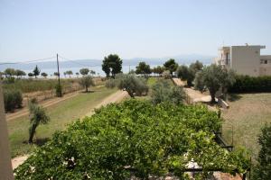 Villa Vlichos