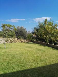 Athinas Apartment in Olive Grove