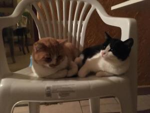 Fattoria di Anja e Marco img31