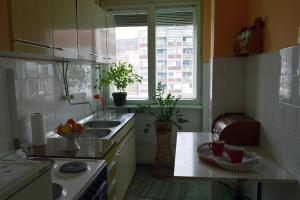 Apartman Nikolic