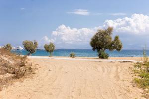 Villa San Dimitrio House on the Beach Paros Greece