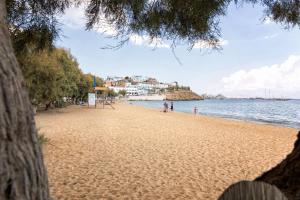 Villa San Dimitrio House on the Beach Paros Greece