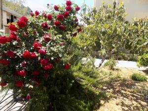 Pappas Family House Argolida Greece