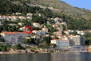 Apartments with WiFi Dubrovnik 8821