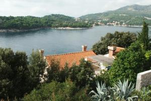 Apartments by the sea Stikovica Dubrovnik 2131