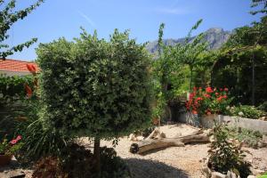 Apartments with a parking space Orebic Peljesac 638