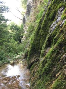 Agriturismo Spizzirò