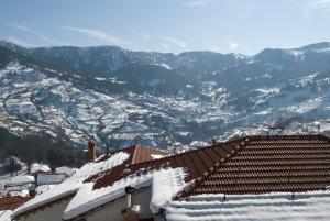 Asteri Metsovou Epirus Greece