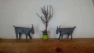 Helicon Muses Friendly Mountain B&B Guesthouse Parnassos Greece