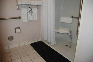 Holiday Inn Express Hotel & Suites FentonI-44 by IHG