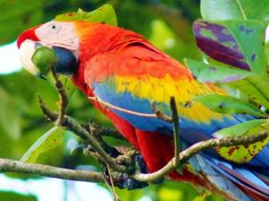 Jacobin Hostel & Cabins