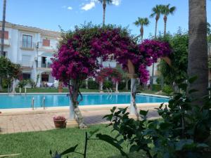 Rincón cerca del mar para nomadas digitalas WF1Gb