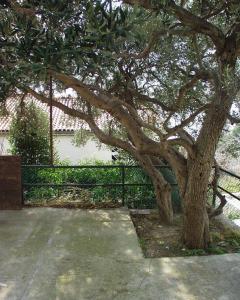 Apartments by the sea Baska Voda Makarska 300