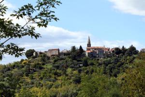 Apartments with WiFi Groznjan, Central Istria - Sredisnja Istra - 7038