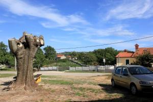 Apartments with a swimming pool Sveti Bartul, Labin - 7392