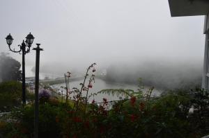 Misty Paradise of Lake Gregory