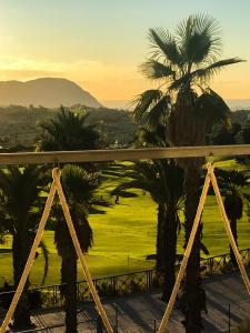 01 Loft Alenda Golf