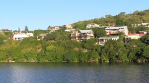 Sedgies on the Water