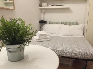 Small Navona Studio