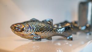 Cottage "Les GALETS" face au Lac de la forêt dOrient - Les Cottages du Belvédère