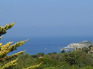 Residence Majori img21