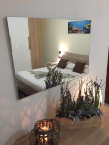 Gaia House img21