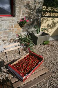 Maisons d'hotes Les gites d'Hellen : photos des chambres