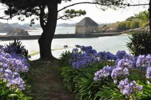 Appartements L'ESTRAN, 4 kms des plages, port, GR 34 et 2 h 15 Paris LGV : photos des chambres
