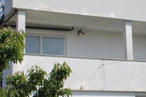 Family friendly apartments with a swimming pool Babici Umag 2531