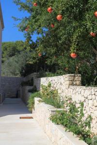 Apartments by the sea Lumbarda, Korcula - 9304