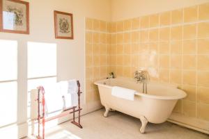 B&B / Chambres d'hotes Chambres d'Hotes Chateau de la Puisaye : photos des chambres