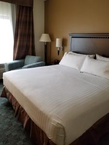 King Room with Jetted Tub room in Holiday Inn Express Hotel & Suites Canton